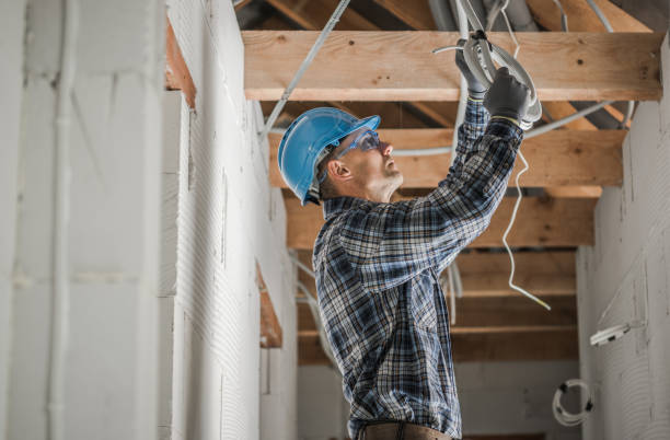 Best Electrician for Home Renovation  in Cheboygan, MI