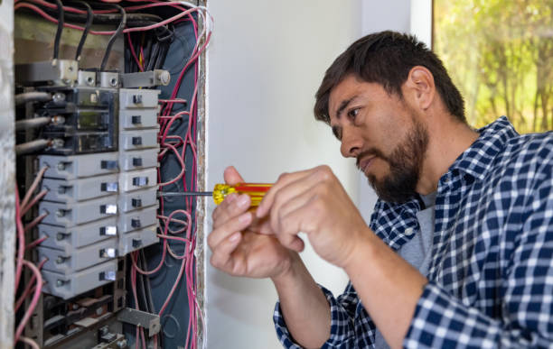 Best Licensed Electrician  in Cheboygan, MI